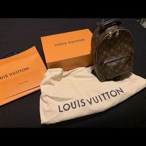 NEW Louis Vuitton Palm Springs PM